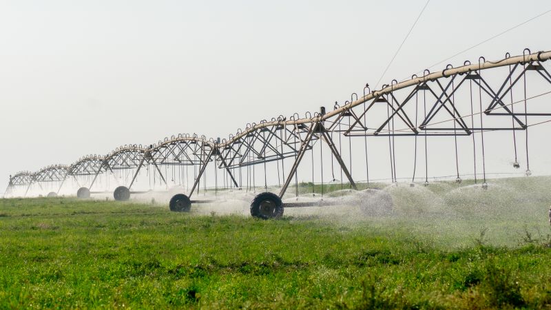 Building Size and Layout